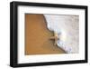 Starfish with Evening Surf Rolling In-Terry Eggers-Framed Photographic Print