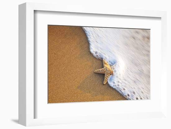 Starfish with Evening Surf Rolling In-Terry Eggers-Framed Photographic Print