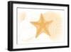 Starfish - Yellow - Coastal Icon-Lantern Press-Framed Art Print