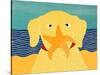 Starfish Yellow-Stephen Huneck-Stretched Canvas