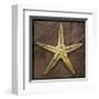 Starfish-John Golden-Framed Giclee Print