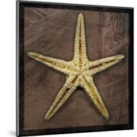 Starfish-John Golden-Mounted Giclee Print