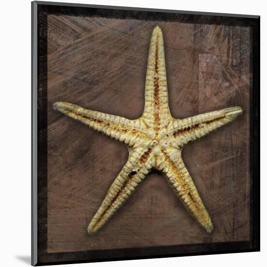 Starfish-John Golden-Mounted Giclee Print