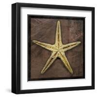 Starfish-John Golden-Framed Art Print