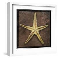 Starfish-John Golden-Framed Art Print