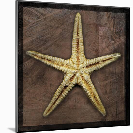 Starfish-John Golden-Mounted Art Print