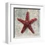 Starfish-Ted Broome-Framed Art Print