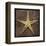 Starfish-John W^ Golden-Framed Art Print