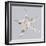 Starfish-Justin Lloyd-Framed Giclee Print