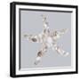 Starfish-Justin Lloyd-Framed Giclee Print