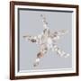Starfish-Justin Lloyd-Framed Giclee Print