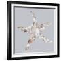 Starfish-Justin Lloyd-Framed Giclee Print