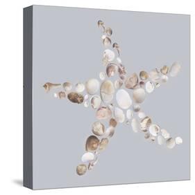 Starfish-Justin Lloyd-Stretched Canvas