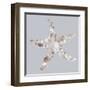 Starfish-Justin Lloyd-Framed Art Print