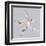 Starfish-Justin Lloyd-Framed Art Print