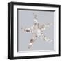 Starfish-Justin Lloyd-Framed Art Print