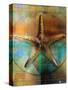 Starfish-Colin Anderson-Stretched Canvas