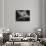 Starfish-Henry Horenstein-Photographic Print displayed on a wall