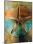 Starfish-Colin Anderson-Mounted Photographic Print