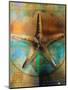 Starfish-Colin Anderson-Mounted Photographic Print