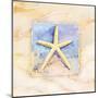 Starfish-Paul Brent-Mounted Art Print