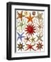 Starfish-English School-Framed Giclee Print