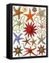 Starfish-English School-Framed Stretched Canvas