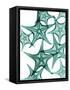 Starfish-Albert Koetsier-Framed Stretched Canvas