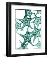 Starfish-Albert Koetsier-Framed Art Print