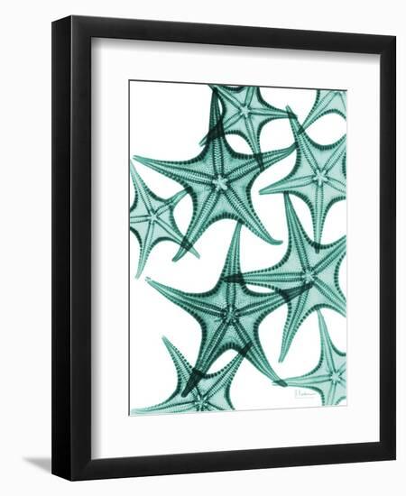 Starfish-Albert Koetsier-Framed Art Print