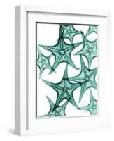 Starfish-Albert Koetsier-Framed Art Print