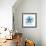 Starfish-Erin Clark-Framed Giclee Print displayed on a wall