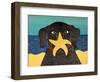 Starfish-Stephen Huneck-Framed Giclee Print