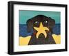 Starfish-Stephen Huneck-Framed Giclee Print