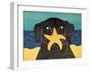 Starfish-Stephen Huneck-Framed Giclee Print