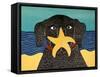 Starfish-Stephen Huneck-Framed Stretched Canvas