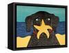 Starfish-Stephen Huneck-Framed Stretched Canvas