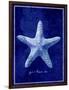 Starfish-GI ArtLab-Framed Giclee Print