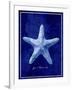 Starfish-GI ArtLab-Framed Giclee Print