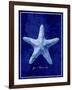 Starfish-GI ArtLab-Framed Giclee Print