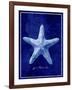 Starfish-GI ArtLab-Framed Giclee Print