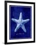 Starfish-GI ArtLab-Framed Giclee Print