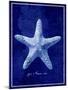 Starfish-GI ArtLab-Mounted Giclee Print