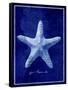 Starfish-GI ArtLab-Framed Stretched Canvas