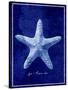 Starfish-GI ArtLab-Stretched Canvas