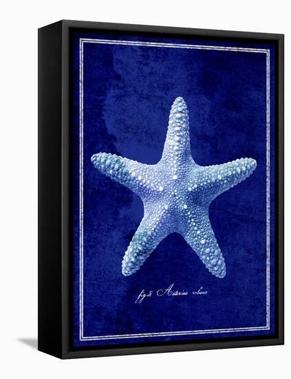 Starfish-GI ArtLab-Framed Stretched Canvas