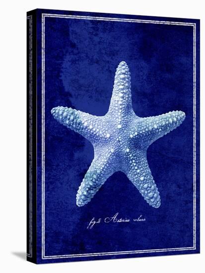 Starfish-GI ArtLab-Stretched Canvas