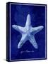 Starfish-GI ArtLab-Stretched Canvas