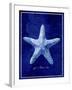 Starfish-GI ArtLab-Framed Giclee Print