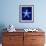 Starfish-GI ArtLab-Framed Giclee Print displayed on a wall